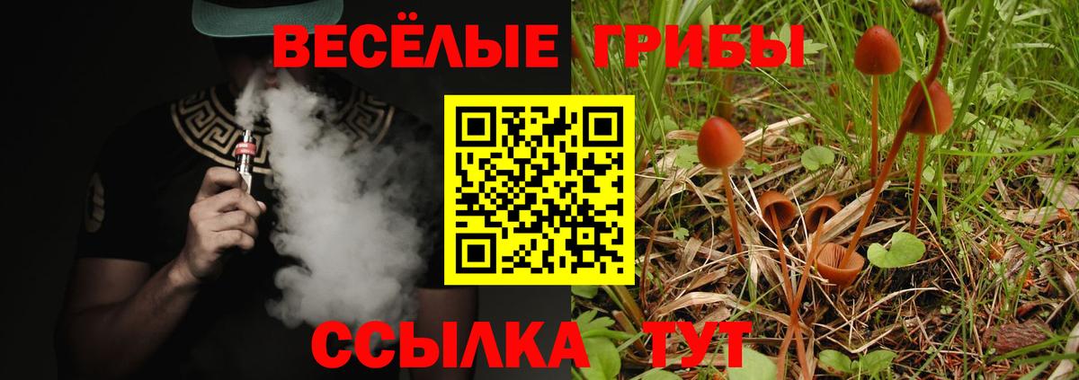 Великие Луки  Псилоцибиновые грибы MAGIC MUSHROOMS  Вход с VPN  Псилоцибиновые грибы Psilocybine cubensis 