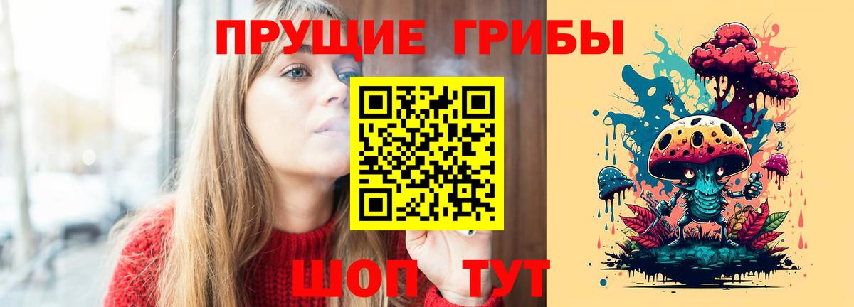 Псилоцибиновые грибы Cubensis Великие Луки